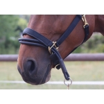 Ezyloader Headcollar Adaptor 